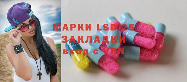 PSILOCYBIN Корсаков