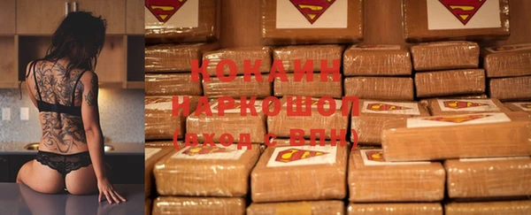 стафф Краснослободск