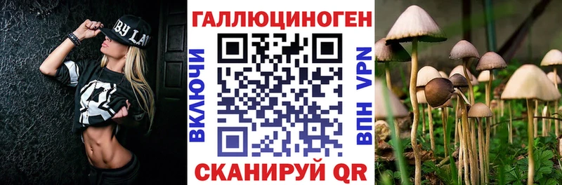Галлюциногенные грибы мухоморы  Купить где  Кохма 